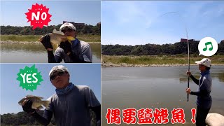 中秋烤魚就自己來這釣吧,魚大又肥美,能否可食自行判斷哦！