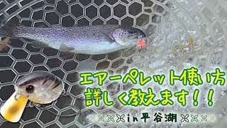 【平谷湖】エアーペレットの使い方教えます【今井康仁】