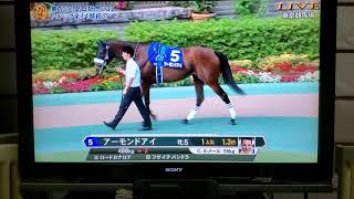 パドック　2020　安田記念　1600m