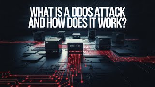 What is a DDoS Attack and How Does It Work?