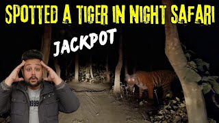 Spotted a Tiger / Leopard in Night Safari in Kishanpur Wildlife Sanctuary