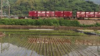 【鉄道動画】6/5 5071レ 東海道線 用宗～焼津