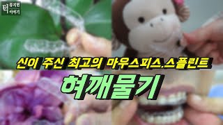 신의 주신 최고의 마우스피스, 스플린트  '혀깨물기' 방법(천연 교합안정장치)