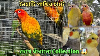 Naihati Pet Market 💥|🔥 Recent Bird Price Update | Premium Quality Conure, Cockatiel Etc.🤯