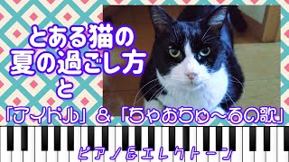 「ちゃおちゅ〜るの歌」をグランドピアノで弾きました♪Part12