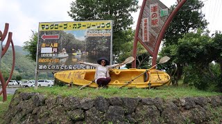 Amami oshima/mangrove forest