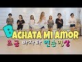 Bachata Mi Amor-바차타를 쉽게 연습
