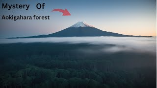 Inside Aokigahara: The Forest Of Suicides