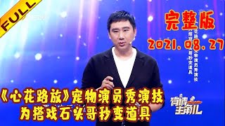 有请主角儿 20210827：《心花路放》宠物演员秀演技 为搭戏石头哥秒变道具