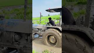 tractor kichad me fass gya | tractor khet mein fas gaya #trending #farming  #shorts #short #viral