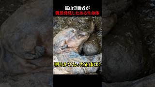 鉱山労働者が偶然発見したある生命体