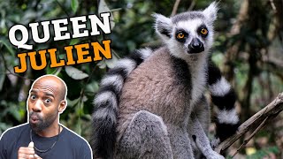 Is King Julien Actually A Queen?