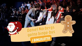 Daniels Bingobus i BingoLotto 8 december