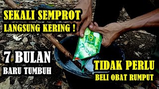 cara membasmi rumput liar agar tidak tumbuh lagi | Season 3