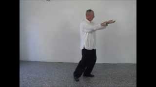 Tai Chi for Arthritis with Part 2 - 41 Form performed by Mike Soric