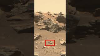 Mars Perseverance Rover discovery #nasa #space #moon #perseverance #mars