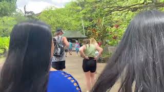 #escapade#honolulu#hawaii#usa|I DON'T WANT TO TALK ABOUT IT|JRMT House