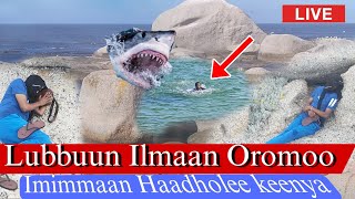 Lubbuun Ilmaan Oromoo /Imimmaan Haadholee keenya