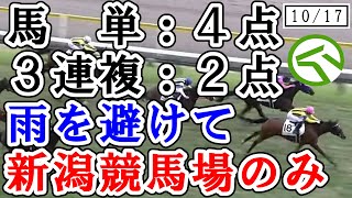 【競馬攻略】秋華賞2020前日　馬単：４点　３連複：２点　雨を避けて新潟競馬で実践検証　2020.10/17　新潟競馬　ＪＲＡ