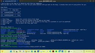 PicoCTF Heap 0