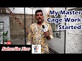 My New Master Cage 2020 | Paradise Birds Information Official