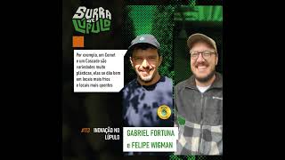 Inovação no Lúpulo Brasileiro. Papo com Felipe Wigman e Gabriel Fortuna | Surra #113