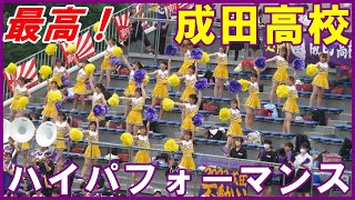 成田高校応援「間違いなく県内トップレベル」高校野球千葉大会３回戦千葉学芸戦/県野球場2023. 7. 15