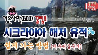 [근짱님] 검은사막(BDO) 시크라이아 해저 유적 매우 쉽게 가는 꿀팁!!