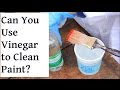 Can you use Vinegar to Clean Paint Brushes? Can you use Vinegar to Clean Paint Brushes?