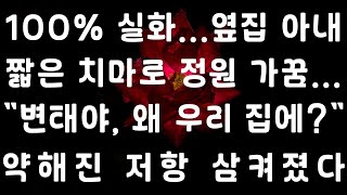 나비와 새가 위로가요.
