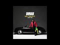 shaggy wrong room official audio