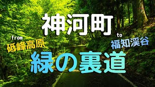 【神河町】砥峰高原裏道の緑のトンネル（険道39号線）から宍粟市福知渓谷まで歩く