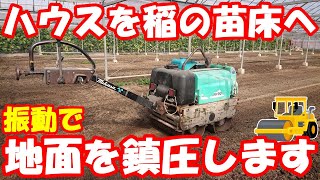 稲の苗床作り～振動ローラー参上！ガンガン固めます。