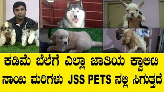 ಕಡಿಮೆ ಬೆಲೆಗೆ ಎಲ್ಲಾ ಜಾತಿಯ ಕ್ವಾಲಿಟಿ ನಾಯಿ ಮರಿಗಳು ಈ JSS ಪೆಟ್ಸ್ ನಲ್ಲಿ ಸಿಗುತ್ತದೆ.all breed dogs