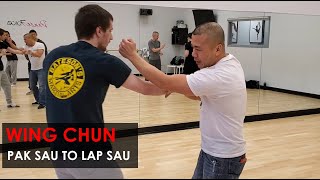 Pak Sau To Lap Sau - Wing Chun, Kung Fu Report - Adam Chan
