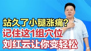 站久了小腿胀痛？记住这1组穴位，刘红云让你变轻松