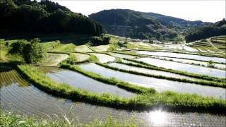 夕映え　パレット　大垪和西の棚田（岡山県美咲町）