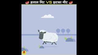 हलाल और झटका मे क्या फर्क है? / Difference between Halal Meat And Jhatka Meat #shorts