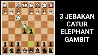 3 jebakan catur elephant gambit