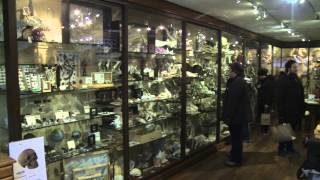 Evolution Store