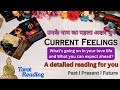 Their Current Feeling for you | What can you expect in your Love Life? Timeless Tarot Reading