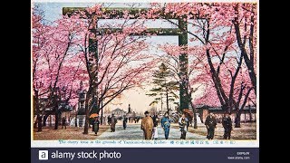 Cherry Blossoms and Japan History at the Controversial Yasukuni Shrine