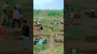 રૂડાં આ ગામડાના || My Villege || #shorts #shortvideo #viral #shortsfeed #status