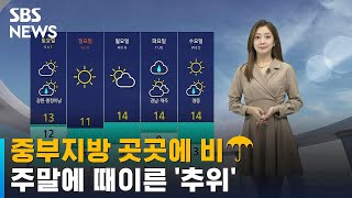 [날씨] 중부지방 곳곳에 비…주말에 때이른 '추위' / SBS