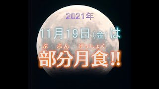 11月19日は部分月食！！