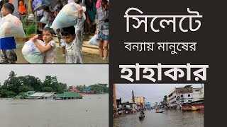 সিলেটে বন্যা পরিস্থিতি।  Flood in Sylhet  । সিলেটবাসী বন্যা হাহাকার। #বন্যা_পরিস্থিতি #সিলেট_বন্যা