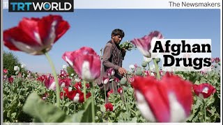 How Afghanistan became the world’s biggest opium producer despite the war