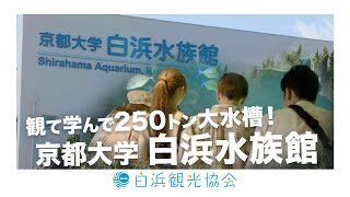 京都大学白浜水族館