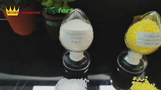 Calcium Nitrate Granular  \u0026  Calcium Nitrate Granular + 0.1%  Boron