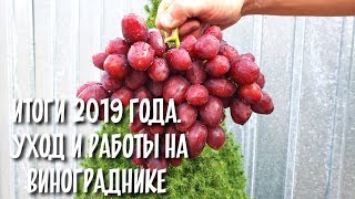 УХОД ЗА ВИНОГРАДНИКОМ ОТ А до Я. ПОДБОР ВСЕХ РАБОТ ЗА 2019 год